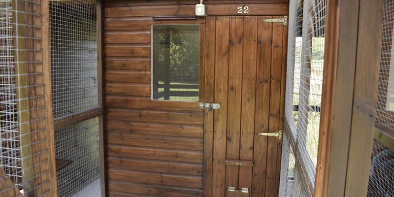 Cattery-chalet-indoor-and-outdoor-unit