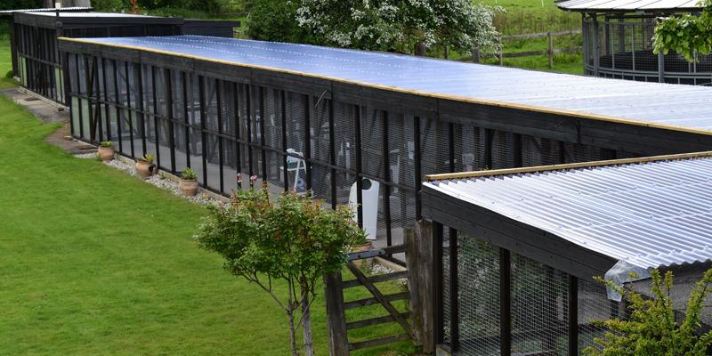 Image-showing-new-roofing-of-boarding-cattery-units